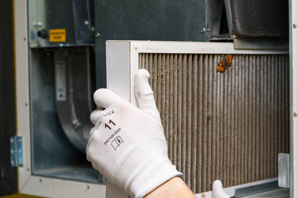 Best Air Vent Cleaning Services  in Ixonia, WI