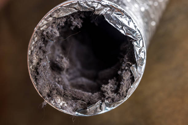 Best Emergency Air Duct Cleaning  in Ixonia, WI