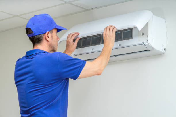 Best Air Duct Sanitizing Services  in Ixonia, WI